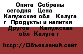 Опята. Собраны сегодня › Цена ­ 1 000 - Калужская обл., Калуга г. Продукты и напитки » Другое   . Калужская обл.,Калуга г.